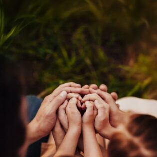 Harmony Blueprint (Families & Couples)